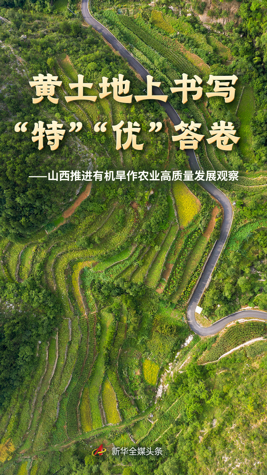 分类 - 极速电竞